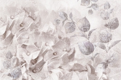 hydrangea flowers. light gray background. floral collage. flower composition. Close-up. Nature.